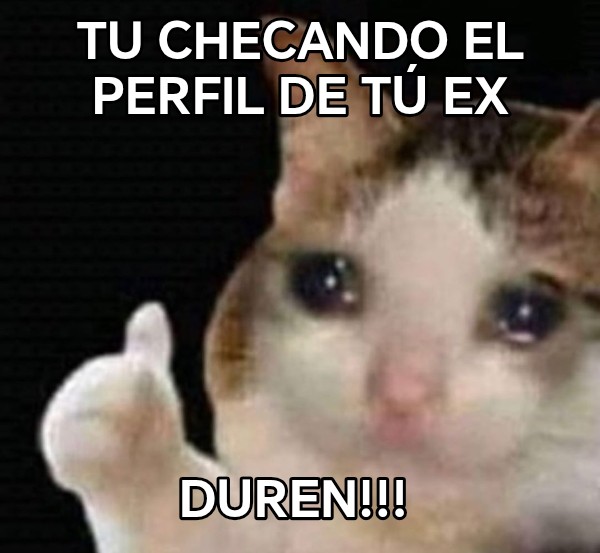 Tu Checando el perfil de tú ex Duren!!! 